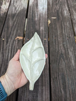 leaf (1) Tray
