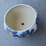Blue Flowers Planter