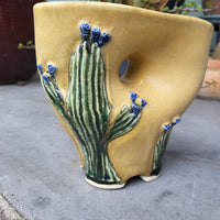 Cactus Vase 2023