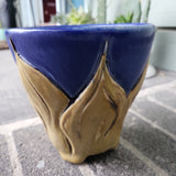Large Flower, Planter 2023