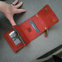 Lady Bug Cork Mini Triskele
