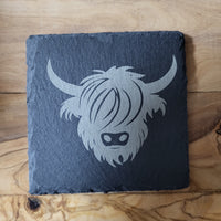 Cow (1)
