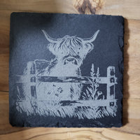 Cow (2)