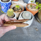 Natural Cork, Bi-Fold