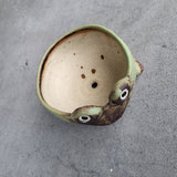 Frog (2) Planter