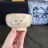 4 Cat Bowl