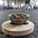 Frog Planter No.3