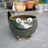 Frog Mug 26