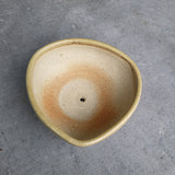 DOTS Planter