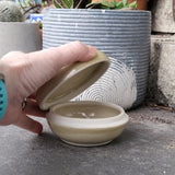 Jellyfish Jar/Container