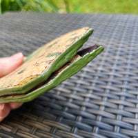 Dino & Brown Cork Bi-Fold