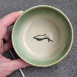 DOLPHIN Green bowl
