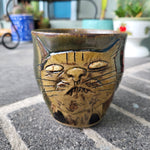 Toothy Cat Mug 11/24
