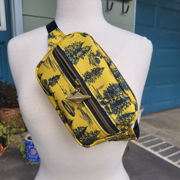 UFO Abduction No. 2- Altona