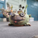 Frog (2) Planter