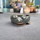 Frog (1) Planter
