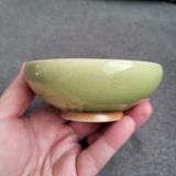 OCTOPUS Green bowl