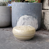 Jellyfish Jar/Container