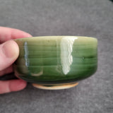 STINGRAY Green bowl