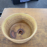 TAN Planter