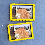 Framed Coo Magnet