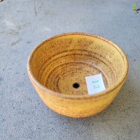 Planter 2