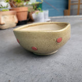 DOTS Planter