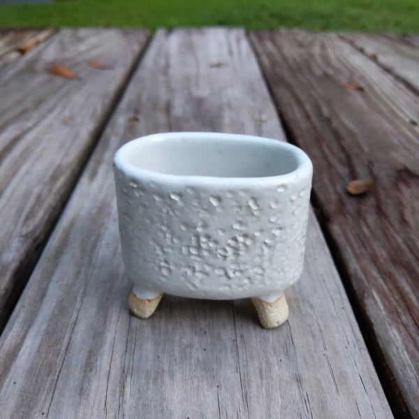 White Succulent Pot withFeet