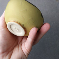 triangle green black cup/Bowl