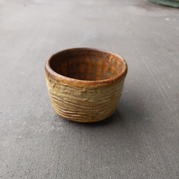 tan waves Bowl