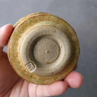 tan waves Bowl