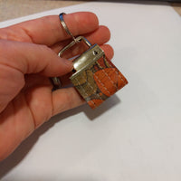 Succulent, No EC Cork Key Ring