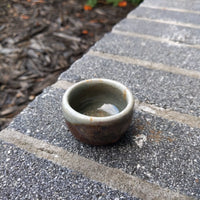 bowl