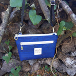 Cobalt Blue & Coo's Paradigm