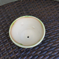 Dent Marks Green Planter 3/22