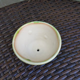Dent Marks Green Planter 3/22