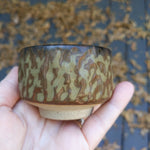 Brown (2) bowl 3/22