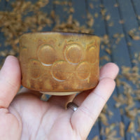 Brown (3) bowl 3/22