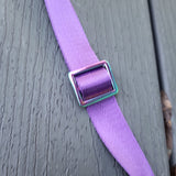Rainbow Spider, Vinyl Amplector Bag