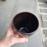 Red fish and Grass Cup