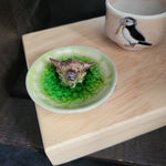 Coo (1) Ring Plate  3/23
