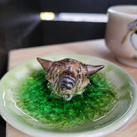 Coo (1) Ring Plate  3/23