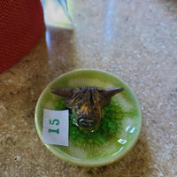 Coo (2) Ring Plate  3/2023