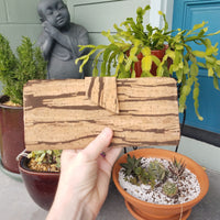 Brown Stripes Long Wallet
