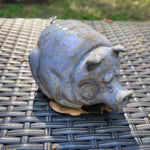 Pig 3/23