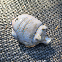 Pig 3/23