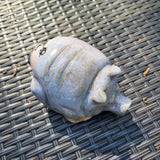 Pig 3/23