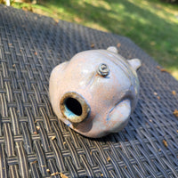 Pig 3/23