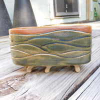 Grassy Hills, Bonsai or Plain ol' Planter