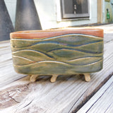 Grassy Hills, Bonsai or Plain ol' Planter
